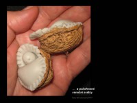 /album/prezentace-noveho-cd/snimek29-jpg1/