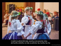 /album/devet-krizu/snimek21-jpg/