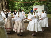 /album/mff-straznice-2015/snimek17-jpg5/